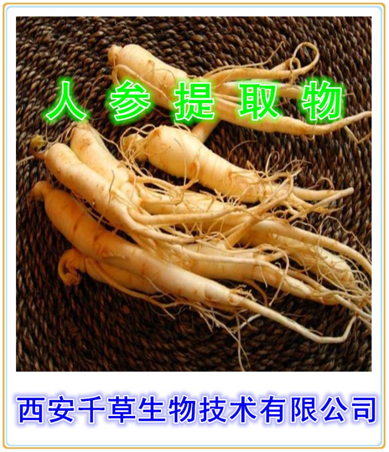 人参提取物