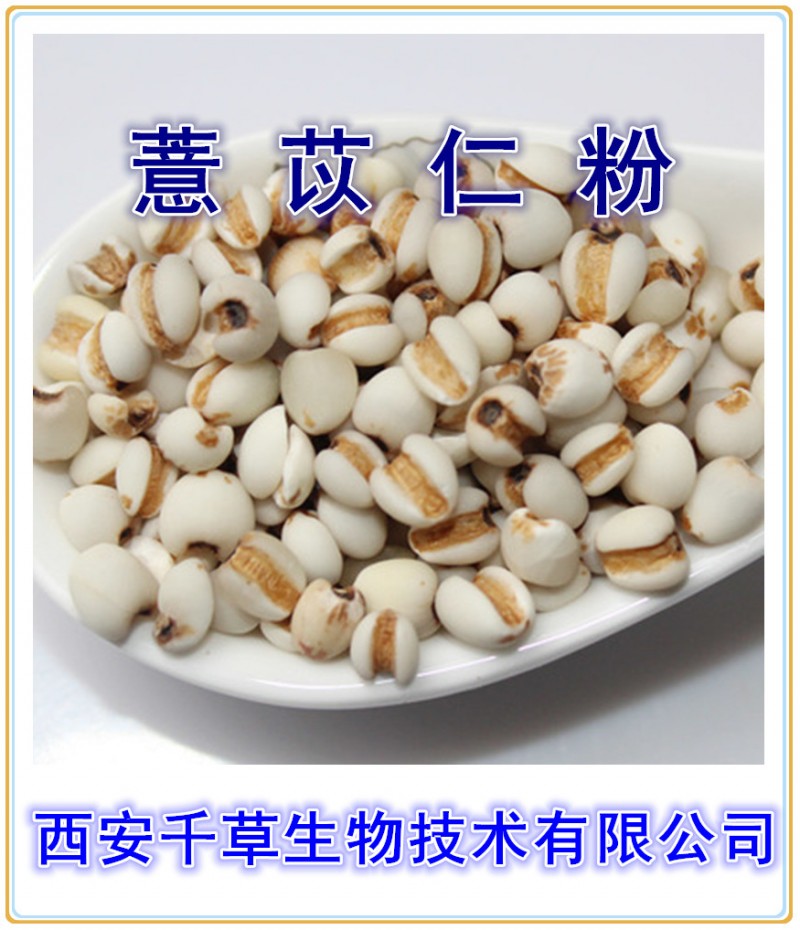 薏苡仁粉