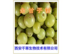 余甘子提取物  余甘子浓缩粉  余甘子粉