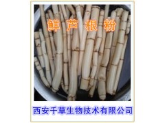 鲜芦根提取物  鲜芦根浓缩粉  鲜芦根粉