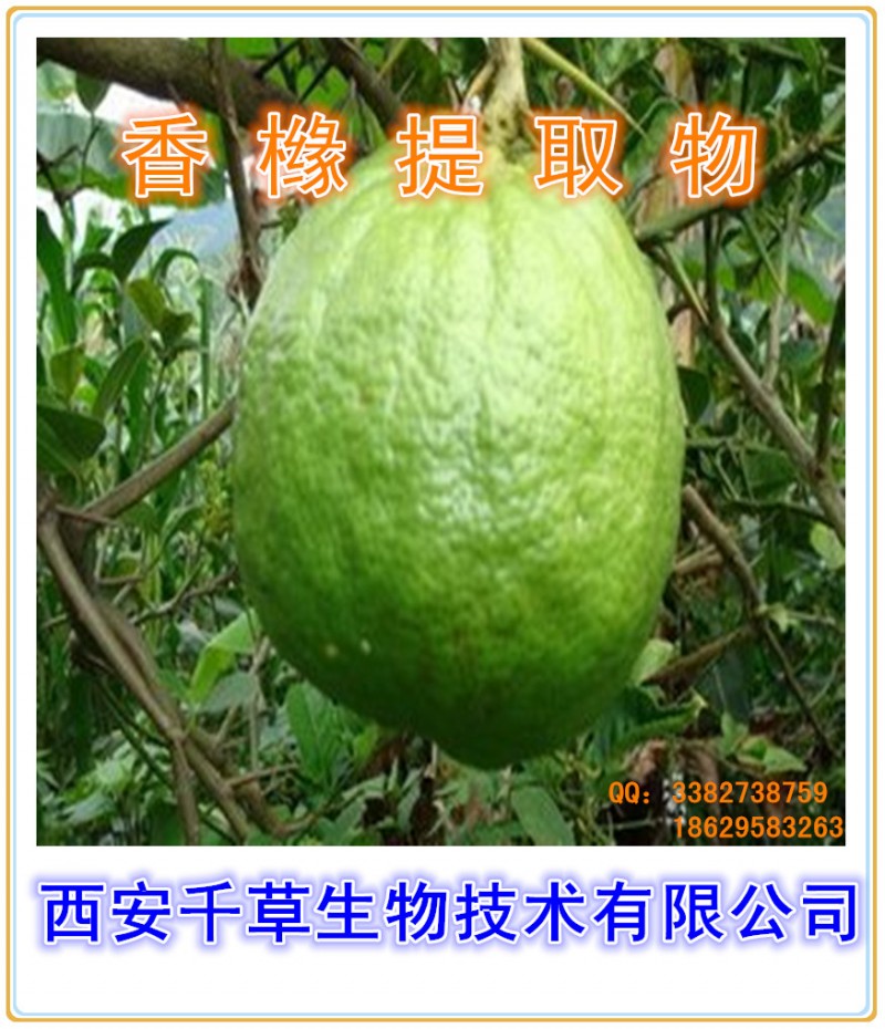 香橼提取物