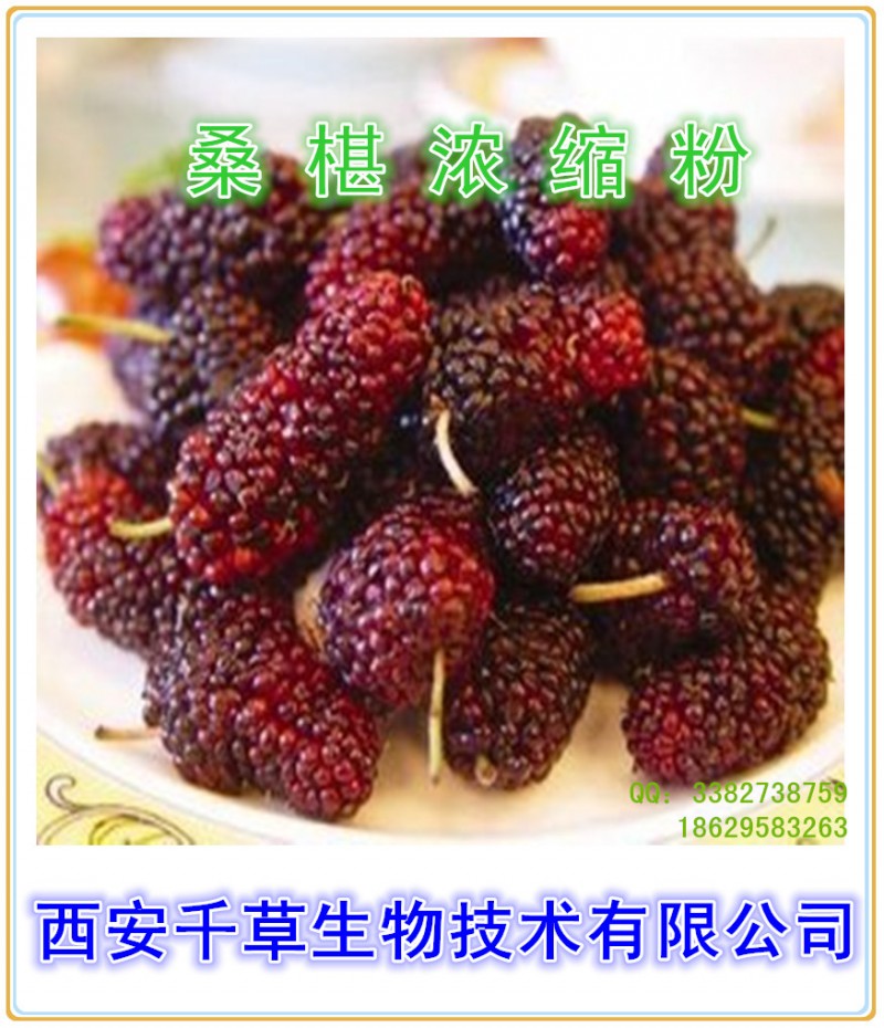 桑椹浓缩粉