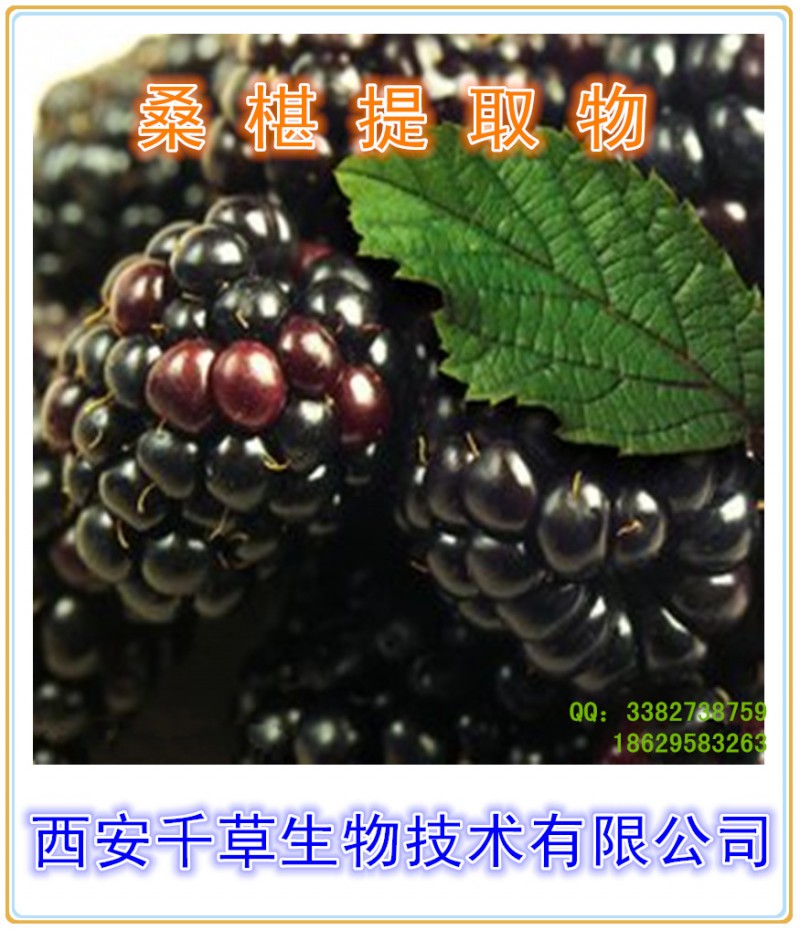桑椹提取物