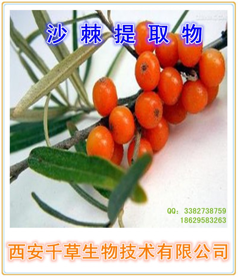 沙棘提取物