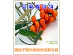 沙棘提取物