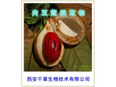 肉豆蔻提取物
