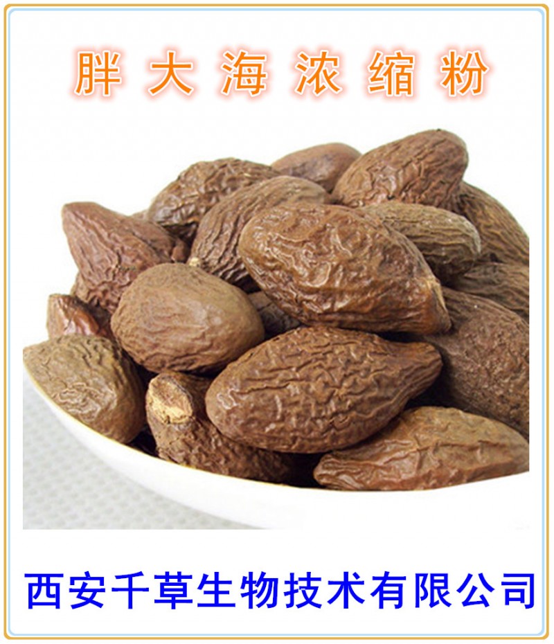 胖大海浓缩粉