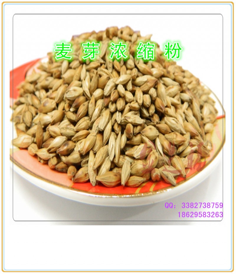 麦芽浓缩粉