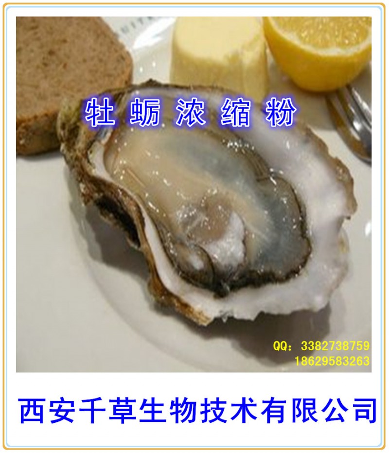 牡蛎浓缩粉