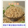 麦芽浓缩粉