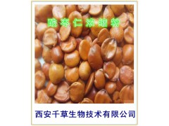 酸枣仁浓缩粉
