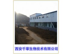 生姜提取物 姜辣素5% 干姜提取物 药食同源 现货供应