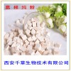 葛根提取物 葛根粉 药食同源 厂家生产