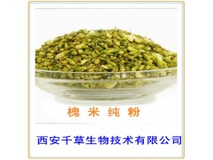 槐米提取物 槐米粉 药食同源 厂家生产