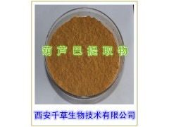 葫芦巴籽提取物 纯天然葫芦芭提取物 温肾助阳