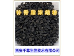 补骨脂提取物 破故纸提取物 强筋壮骨