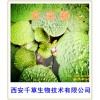 芡实提取物 鸡头米提取物 益肾固精健脾止泻