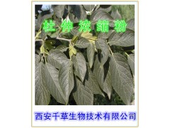 杜仲提取物 杜仲粉