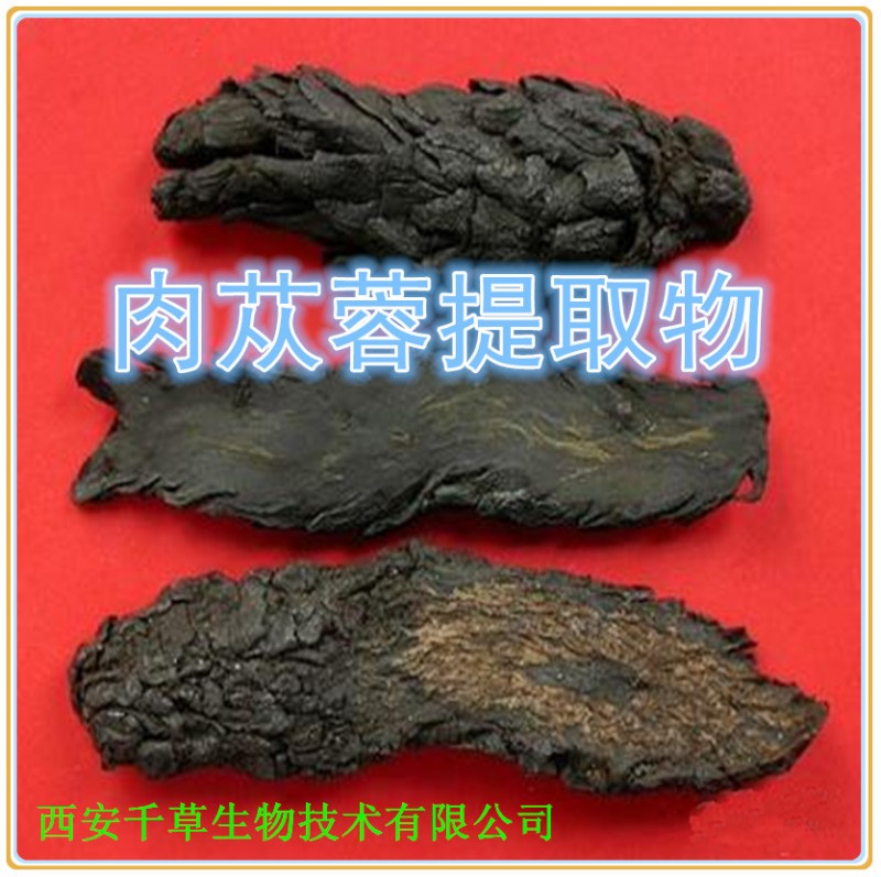 肉苁蓉提取物