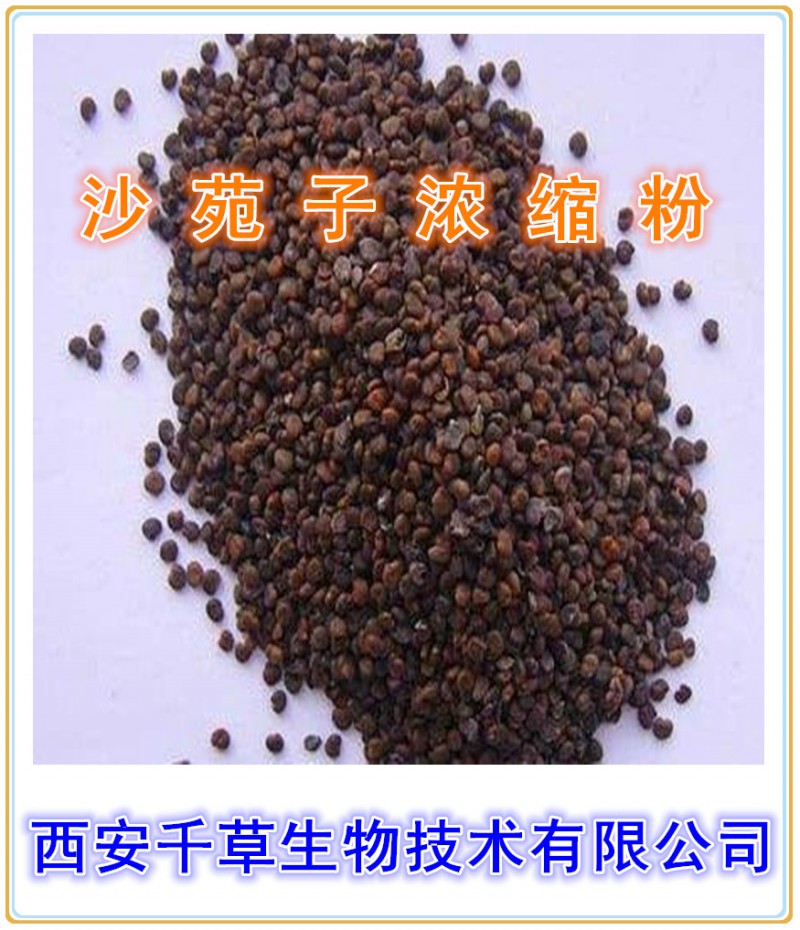 沙苑子浓缩粉
