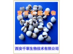 薏苡仁提取物  薏仁提取物