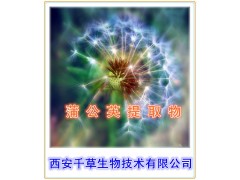 蒲公英提取物  蒲公英粉