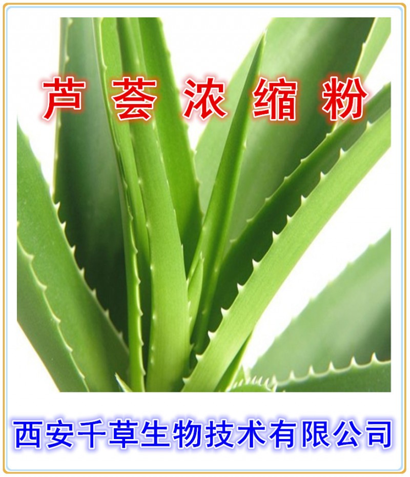 芦荟浓缩粉