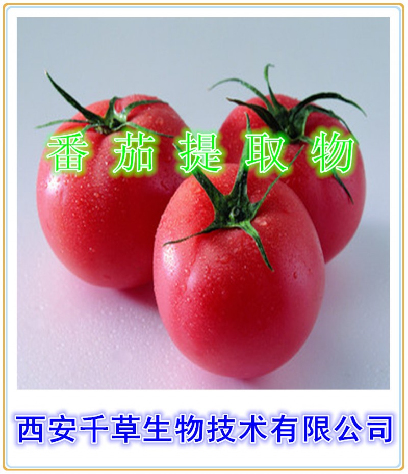 番茄提取物