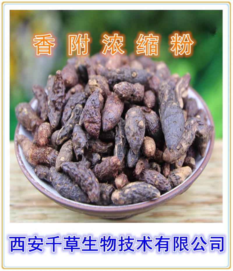 香附浓缩粉
