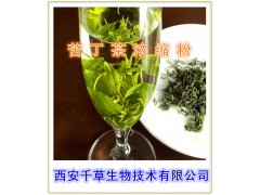 苦丁茶粉    大叶冬青提取物