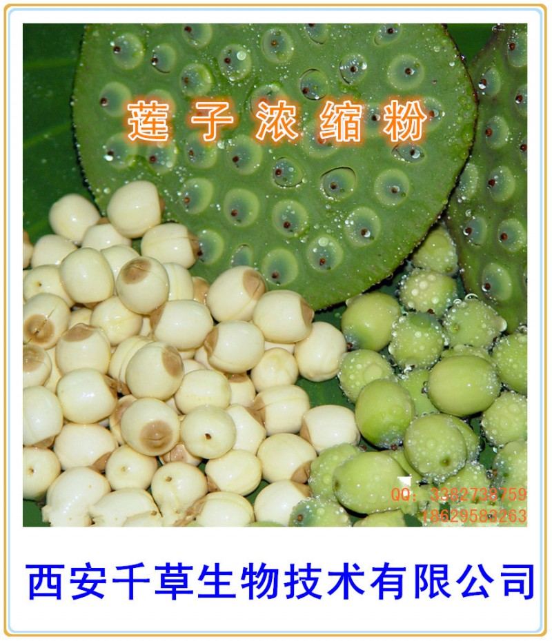 莲子浓缩粉0