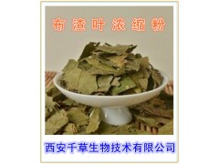 布渣叶提取物   西安千草生物现货直销