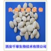 白扁豆​提取物优质原料纯天然提取西安千草生物厂家生产药食两用