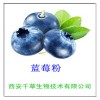 厂家供应水溶性蓝莓提取物25%(花青素) 规格齐全