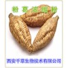 粉葛浓缩粉  西安千草生物现货直销