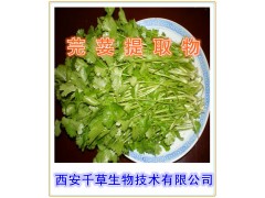 胡荽粉   西安千草生物现货直销