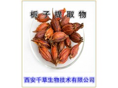 红枝子粉  西安千草生物现货直销