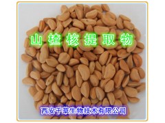 山楂核提取物