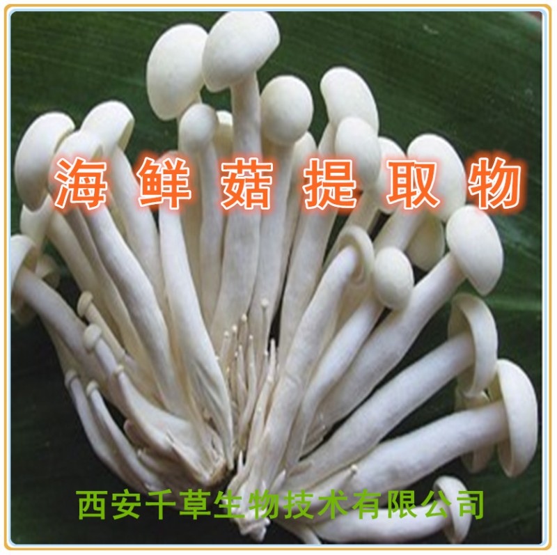 海鲜菇提取物