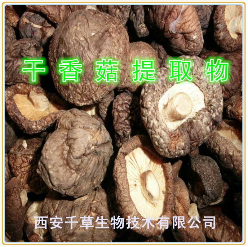 干香菇提取物