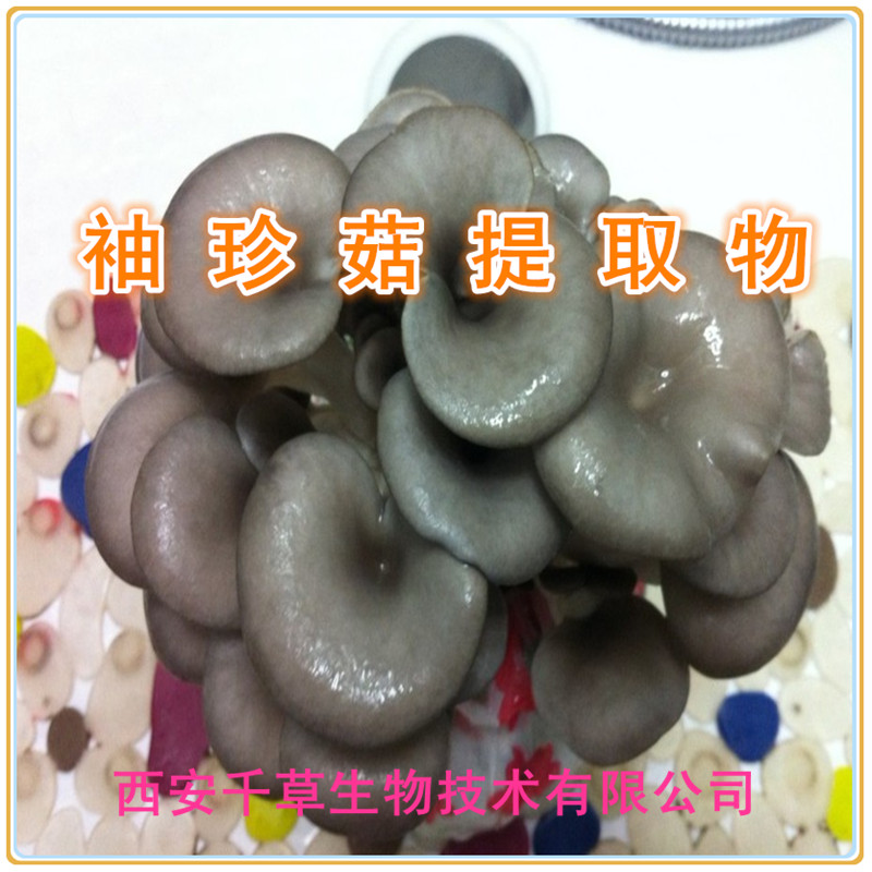 袖珍菇提取物