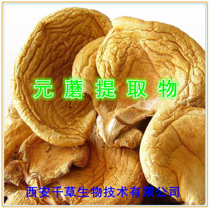 元蘑提取物