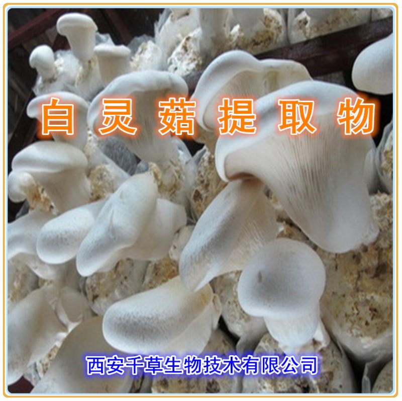 白灵菇提取物
