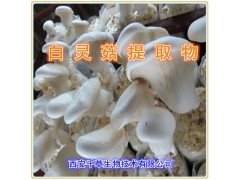 白灵菇提取物