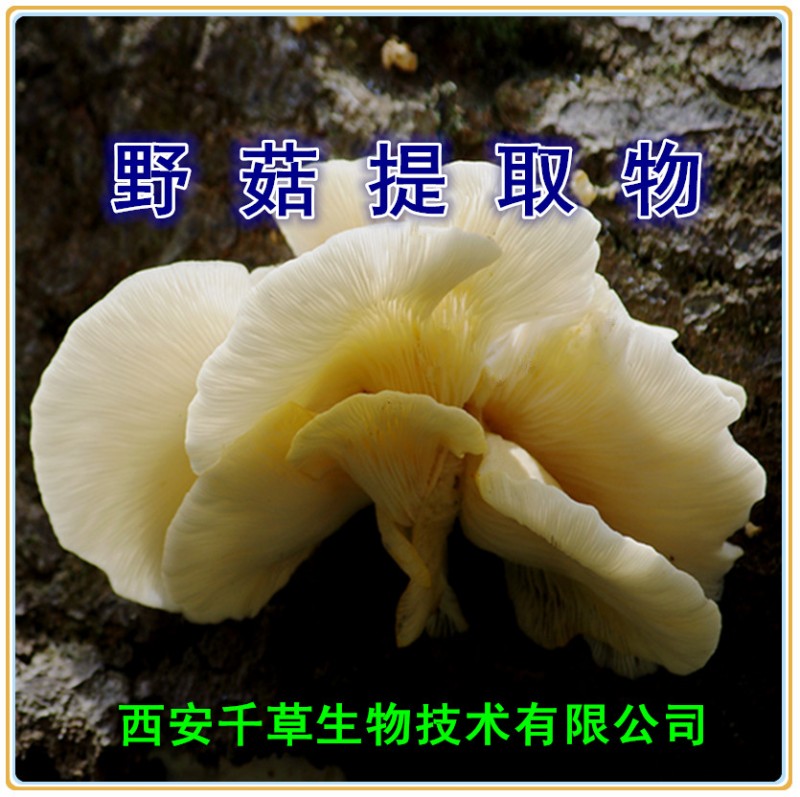 野菇提取物