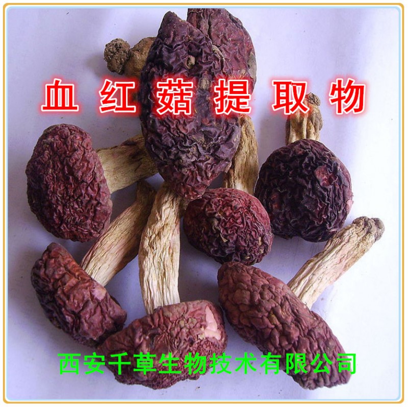 血红菇提取物