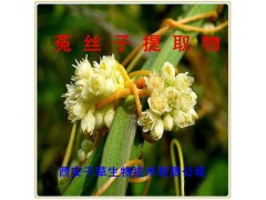 菟丝子提取物