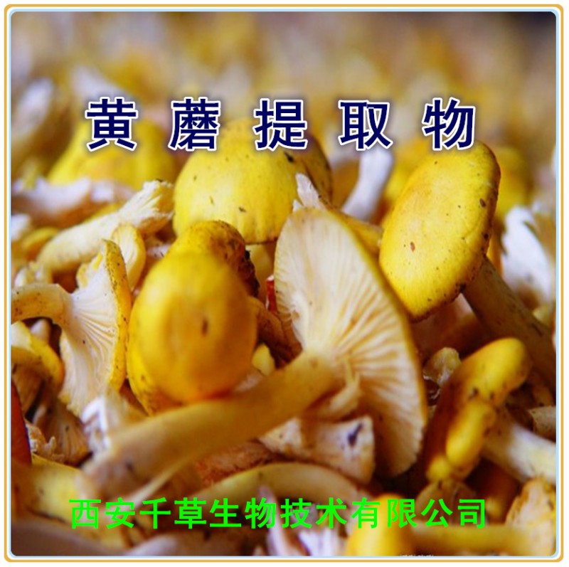 黄蘑提取物0