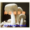 洋菇提取物