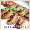 香杏口蘑提取物